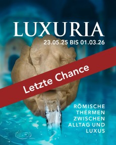 Eine steinerner Löwenkopf auf blauem Hintergrund