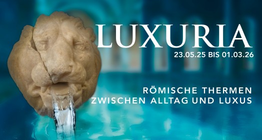 Auf blauem Hintergrund ist ein steinerner Wasserspeier in Form eines Löwenkopfes zu sehen. Auf dem Bild steht 